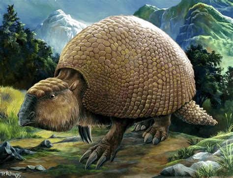 glyptodon pictures.